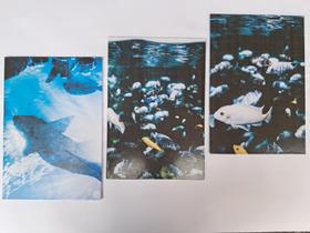 Kit de Quadros Ocean Blue Vida Marinha Premium 3 Peças Kit de Quadros Ocean Blue Vida Marinha Premium 3 Peças
