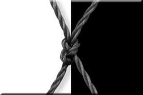 Kit De Redes De Proteção Para Crianças E Gatos 2.90x10.00 Kit De Redes De Proteção Para Crianças E Gatos 2.90x10.00