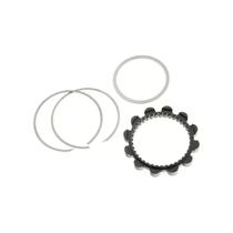 Kit de Reparo Cubo Mavic Anel Dentado Interno Freehub Id 360 Kit de Reparo Cubo Mavic Anel Dentado Interno Freehub Id 360
