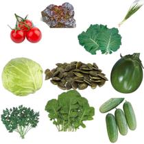 kit de Sementes 10 Variedades de hortaliças
