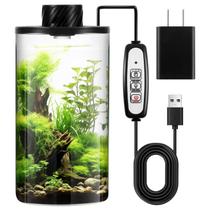 Kit de terrário de plantas de vidro Maxdot 20x10cm com adaptador de luz 5V