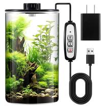 Kit de terrário de plantas de vidro Maxdot com luz 25x15cm