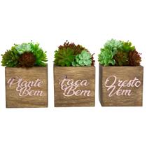 Kit De Vasinhos Decorativos - Plantas Artificiais - Enfeite de Mesa - Magicril Decor