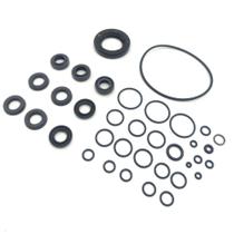 Kit de Vedação Reparos Gaxeta Retentor para Lavajato Stanley SW25-B2