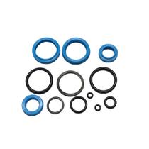 Kit de Vedação Saur PMS 2500 - Modelo Antigo