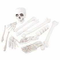 Kit Decorativo Halloween de Caveira com 12 Peças