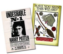 Kit Decorativo Harry Potter - Festa Temática