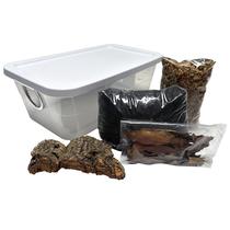 Kit Deluxe de Habitat para Isópodes Exo-Morphs com Solo e Musgo Kit Deluxe de Habitat para Isópodes Exo-Morphs com Solo e Musgo
