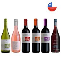 Kit Desgustação 6 Vinhos Chilenos Cono Sur Bicicleta 750Ml