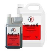 Kit Desintegrador de Dejetos Enzylase Q 6L Frutal para Banheiros fixos móveis motorhome barco e portapotti