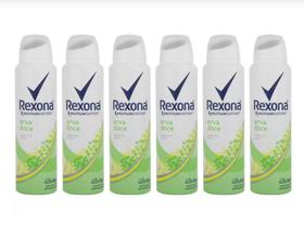 Kit Desodorante Rexona Motion Sense Erva Doce c/6
