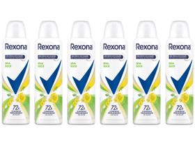 Kit Desodorante Rexona Motion Sense Erva Doce Kit Desodorante Rexona Motion Sense Erva Doce