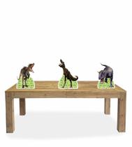 Kit Display Festa Dinossauro 02 Totens 3 Displays