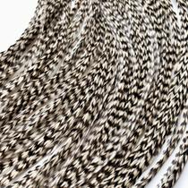 Kit DIY de penas de cabelo Feather Lily com 20 penas de galo reais Kit DIY de penas de cabelo Feather Lily com 20 penas de galo reais