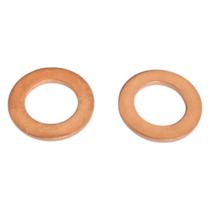 Kit duas arruela bronze vedacao 10mm