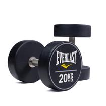 Kit Dumbbell PU Everlast Inox De 20kg - Par