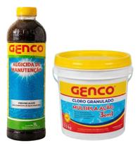 Kit Econômico De Limpeza Cloro 2,5kg Algicida Manutenção 1l