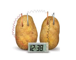 Kit Educacional Relógio de Batata - No. 239 - Fácil de Montar - WRT003645