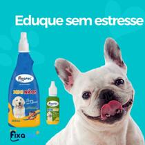 Kit Educador Pet Xixi Sim e Xixi Não + 3 Tapetes higiênico lavável 70X50 Kit Educador Pet Xixi Sim e Xixi Não + 3 Tapetes higiênico lavável 70X50
