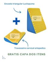 Kit Encosto Triangular + Travesseiro Cervical Entrega Rapida