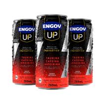 Kit Engov Up Melancia 03 Unidades 269ml Kit Engov Up Melancia 03 Unidades 269ml