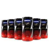 Kit Engov Up Melancia 06 Unidades 269ml Kit Engov Up Melancia 06 Unidades 269ml