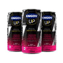 Kit Engov Up Morango e Kiwi 03 Unidades 269ml