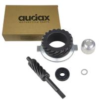 Kit Engrenagem + Pinhao do Velocimetro Ferro Titan/today 125