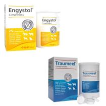 Kit Engystol 25 Comp + Traumeel 50 Comp Veterinario Heel Vet Kit Engystol 25 Comp + Traumeel 50 Comp Veterinario Heel Vet