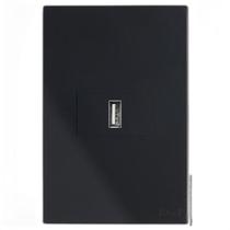 Kit Entrada Usb 2.A Horizontal 4X2 Brs12325-0Bk