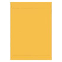 Kit Envelope Saco Kraft Ouro Branco 10 Unidades 260x360mm 80g - Foroni
