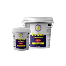 Kit Enzylase antimofo 4,6Litros Verniz incolor sem cheiro para madeiras, móveis , gessos e alvenaria.