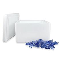 Kit Eps 10 Litros ISOPOR Com 150 Unidades +Gelo 15g Kit Eps 10 Litros ISOPOR Com 150 Unidades +Gelo 15g