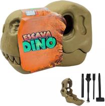 Kit escava fossil de dinossauro 6-24pc fgis