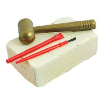 Kit Escavação Fossil 2 Figuras Dinossauro Arqueologia Dino - Dm Toys