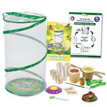 Kit escolar Butterfly Garden Pavilion com 33 lagartas vivas