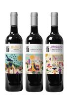 Kit Especial Tintos Clássicos Audace Wine Kit Especial Tintos Clássicos Audace Wine