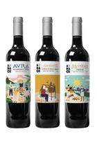 Kit Especial Vinhos Tintos Impactantes Audace Wine