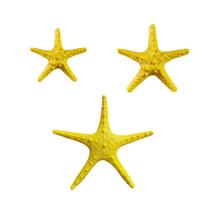 Kit Estrela do Mar Amarela Decorativa Inspiração Boho Praia Verão VÁRIAS VARIEDADES