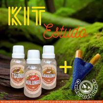 Kit Estudo (Iniciante) - Condor Del Viento