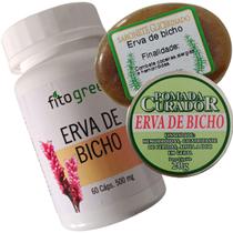 Kit Extra Forte Pomada 60 CÁPSULAS E Sabonete Erva De Bicho Kit Extra Forte Pomada 60 CÁPSULAS E Sabonete Erva De Bicho