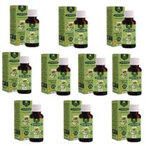 Kit Extrato Própolis Puro com 10 Verde Alecrim 15% Alcolico Imunidade Vitamina Aquoso 30 ml Natural