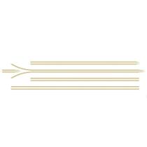 Kit Faixa Lateral S10 Executive 2001/2002 Cab Dupla Dourado
