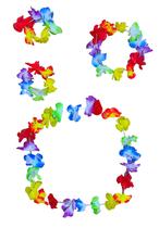 Kit Fantasia Havaiana Festa Do Havaí 4 Itens