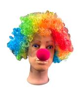Kit Fantasia Palhaço Peruca Colorida e nariz de Espuma