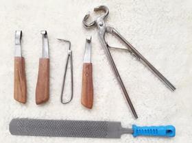 Kit Ferrador Casqueamento Profissional Equino Ferrageamento Kit Ferrador Casqueamento Profissional Equino Ferrageamento