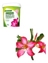 Kit Fertilizante Forth Adubo Flores + Rosa Do Deserto 400g Kit Fertilizante Forth Adubo Flores + Rosa Do Deserto 400g