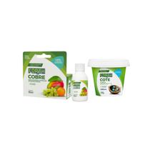 Kit Fertilizante Forth Cobre 60ml + Forth Cote 150g - Proteção e Nutrição para Plantas
