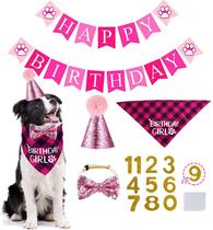 Kit Festa de Aniversário para Cães com Chapéu, Bandana e Banner STKM
