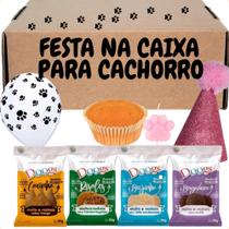 Kit Festa na Caixa Aniversario Cachorro Pet Bolo Petiscos Fêmea Kit Festa na Caixa Aniversario Cachorro Pet Bolo Petiscos Fêmea